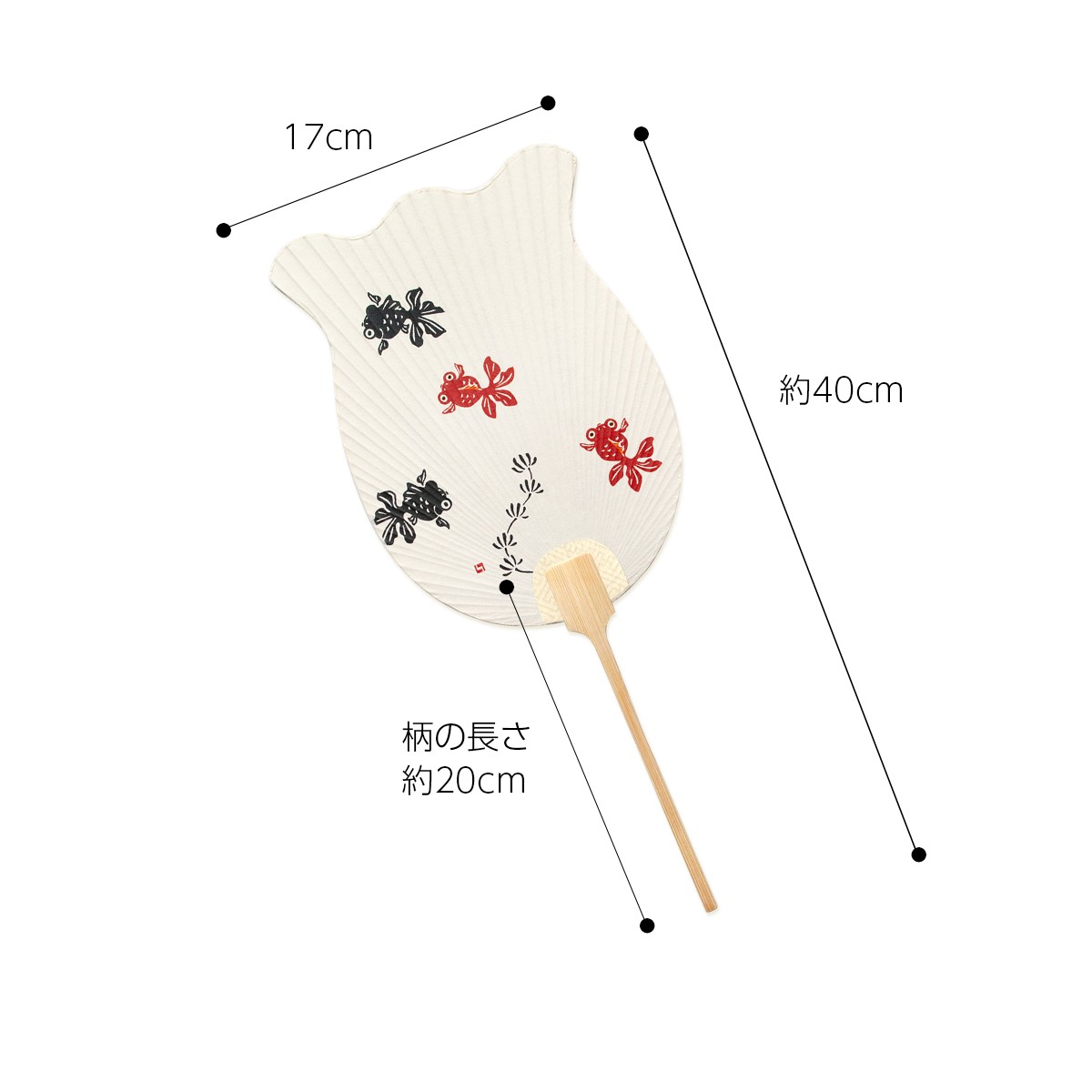 徳力版画 団扇 金魚鉢型 出目金魚（黒地） 4枚目